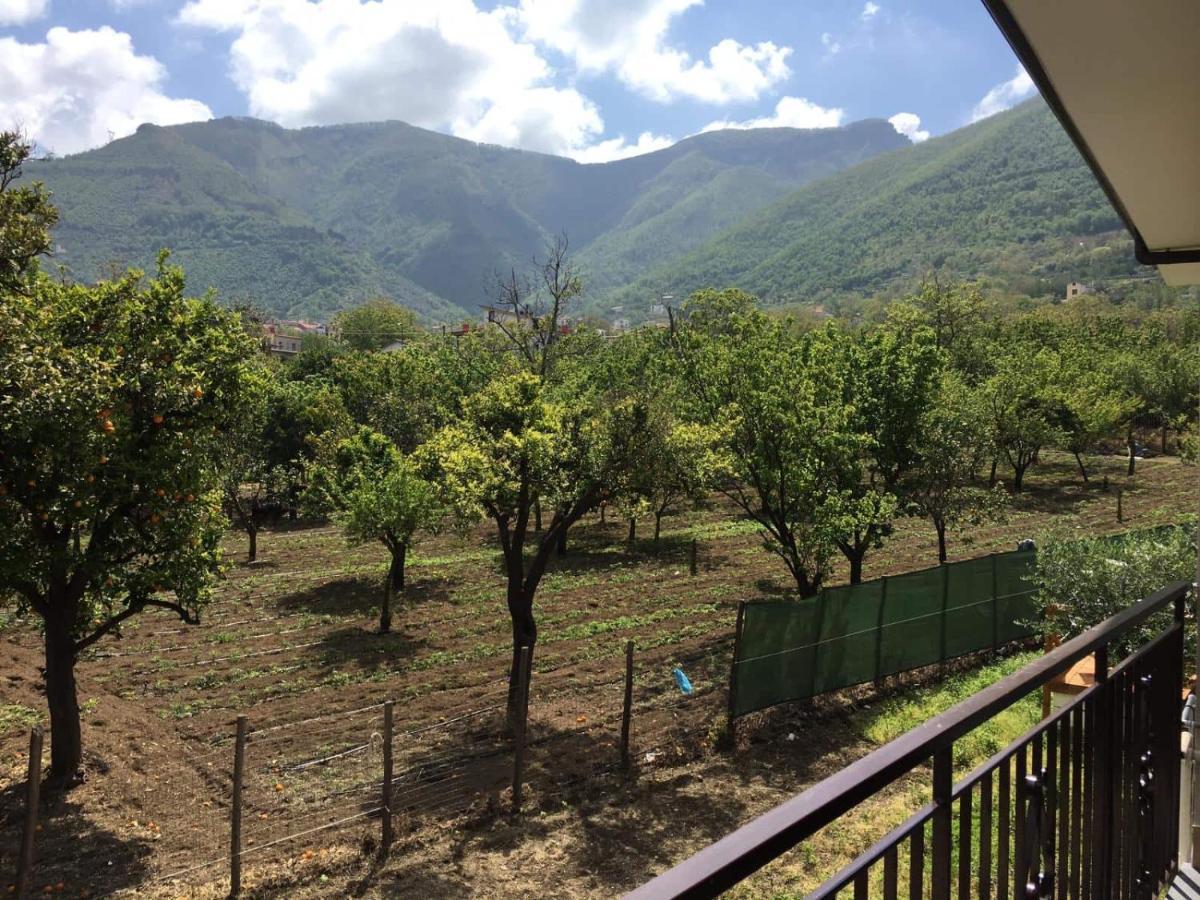 B & B Evergreen Corbara (Campania) Exterior foto