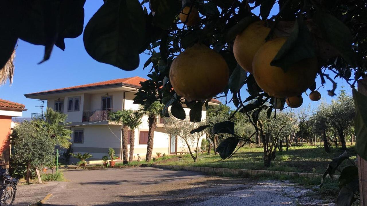 B & B Evergreen Corbara (Campania) Exterior foto