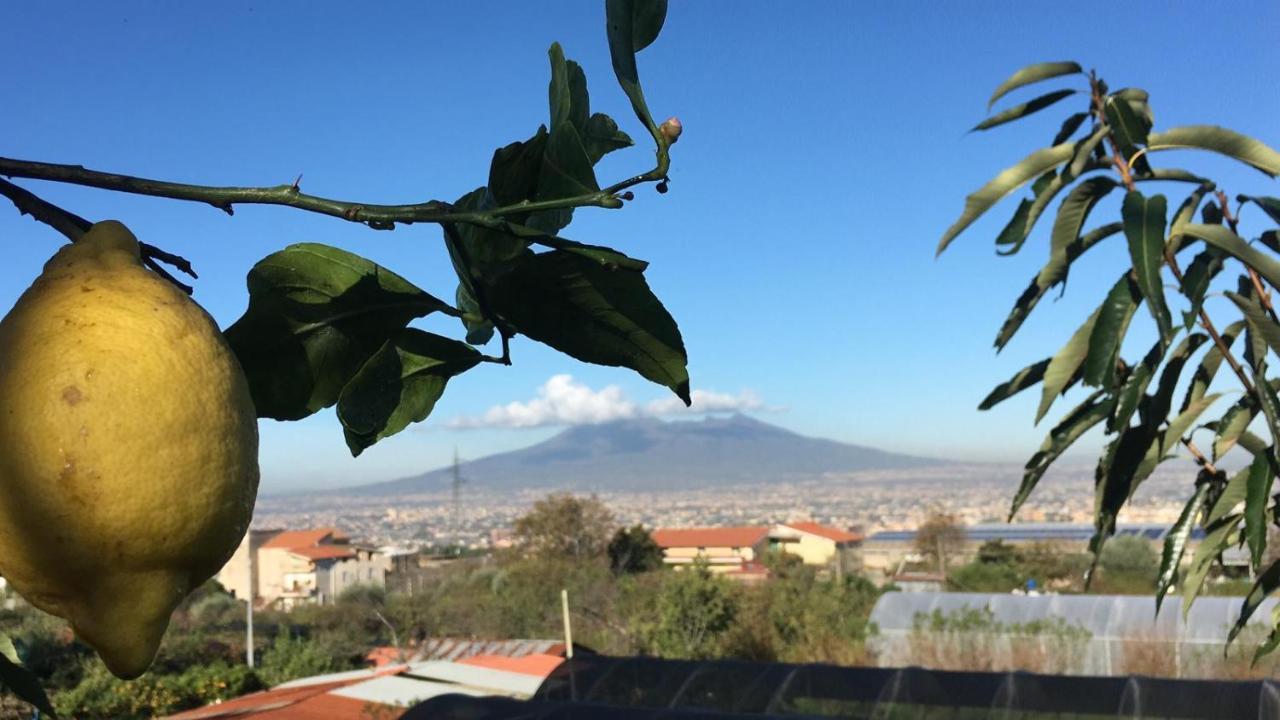 B & B Evergreen Corbara (Campania) Exterior foto