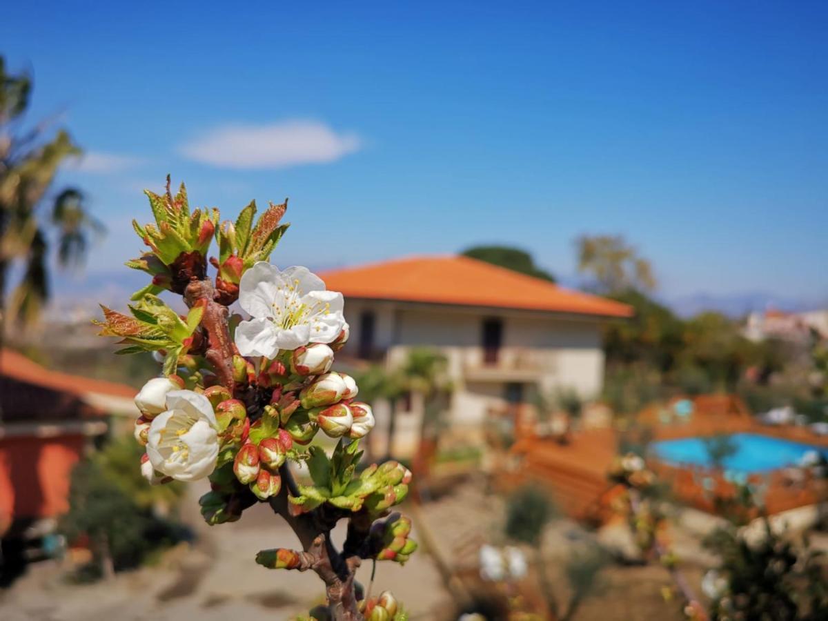 B & B Evergreen Corbara (Campania) Exterior foto
