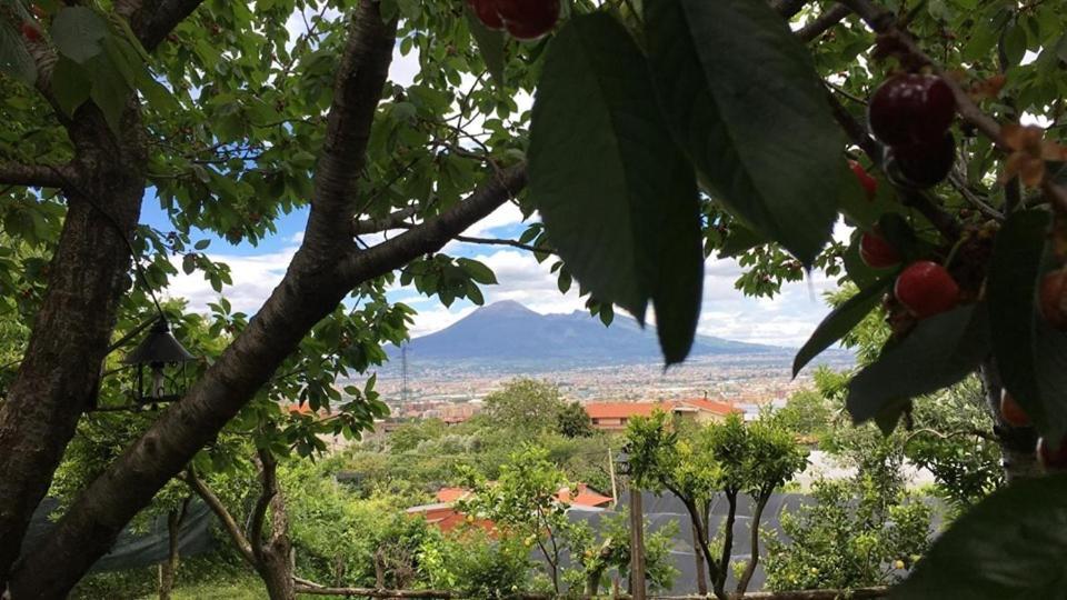 B & B Evergreen Corbara (Campania) Exterior foto