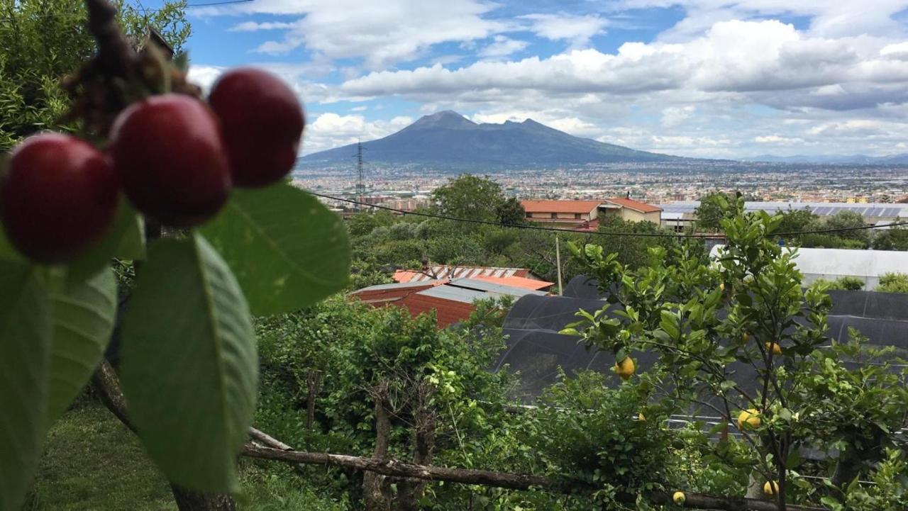 B & B Evergreen Corbara (Campania) Exterior foto